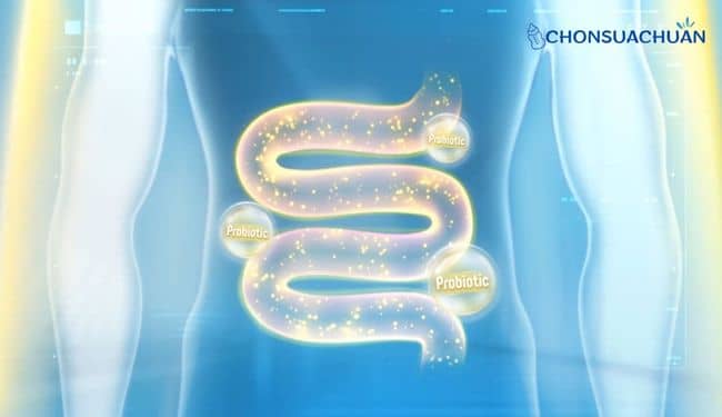 Sữa tốt cho hệ tiêu hóa trẻ sơ sinh có chứa lợi khuẩn và chất xơ