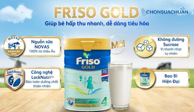 Sữa friso gold có tốt không?