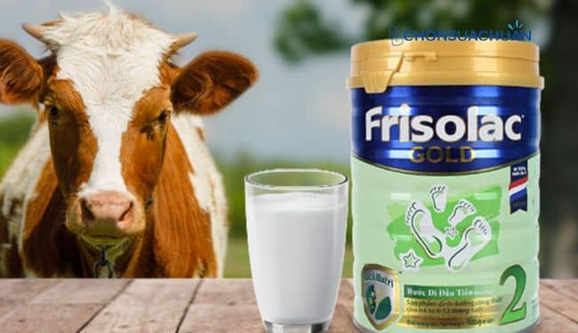 Sữa Friso Nga có tăng cân không?