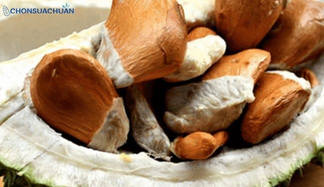 bà bầu ăn hạt sầu riêng luộc được không?