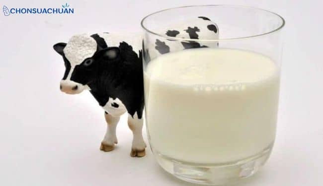 dị ứng đạm sữa bò là gì?