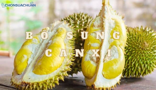 Sầu riêng bổ sung canxi
